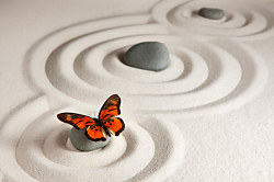 Tapeta Zen butterfly 29292 - samolepiaca na stenu
